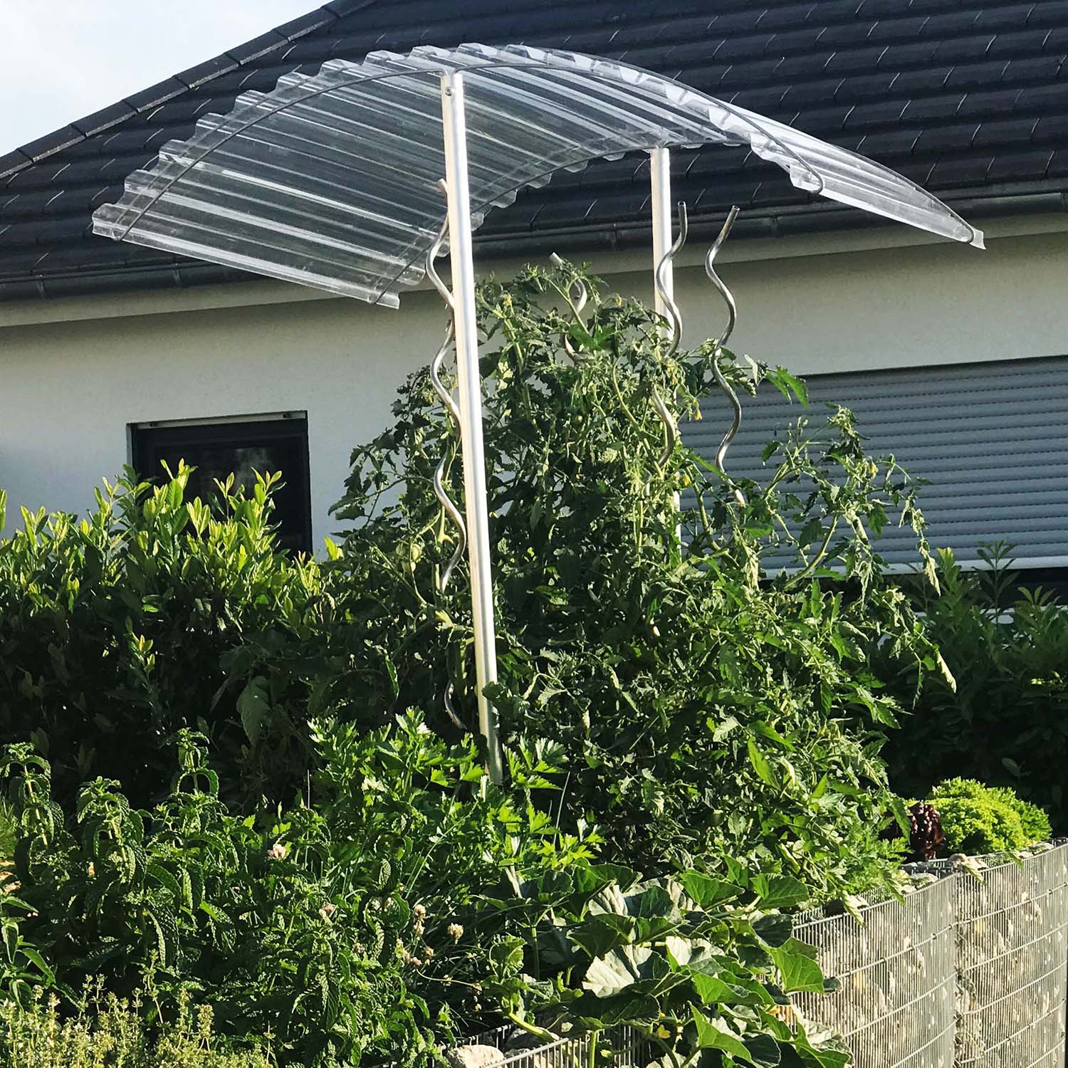 Tomatendach RAPIDO